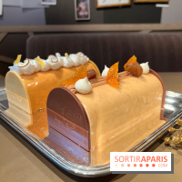 Hugo & Victor - Bûche de Noël 2023 marron-clémentine