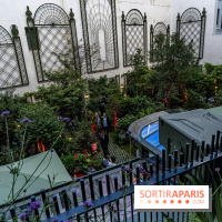 Fantaisie Hotel - bar - rooftop et restaurant à Paris -  A7C1904