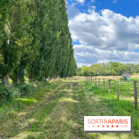 Un week-end le long du Loing, de Montigny-sur-Loing à Thomery