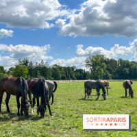 Un week-end le long du Loing, de Montigny-sur-Loing à Thomery