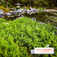 Les jardins japonais de Favières - photos