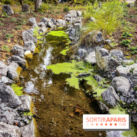 Les jardins japonais de Favières - photos
