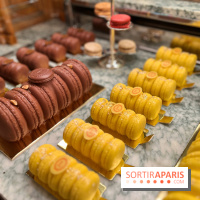 Ladurée - Bûches de Noël 2023 macarons