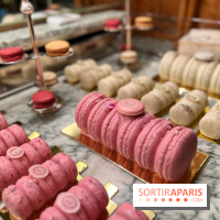 Ladurée - Bûches de Noël 2023 macarons