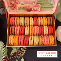 Ladurée - Bûches de Noël 2023 - Macarons