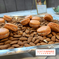 Dalloyau - Macarons de Noël 2023