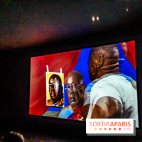 Exposition Kehinde Wiley - Dédale du Pouvoir - Musée du Quai Branly Jacques Chirac - photos  -  A7C2046