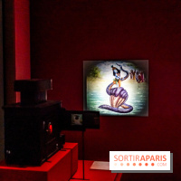 Exposition Bollywood Superstars au Musée du Quai Branly - photos  -  A7C1945