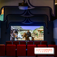 Exposition Bollywood Superstars au Musée du Quai Branly - photos  -  A7C1987