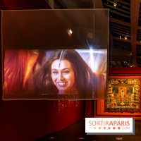Exposition Bollywood Superstars au Musée du Quai Branly - photos