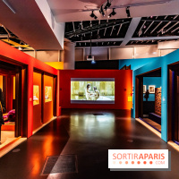 Exposition Bollywood Superstars au Musée du Quai Branly - photos  -  A7C1994