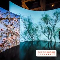 Parfums d'Orient, l'exposition qui enchante nos sens à l'Institut du Monde Arabe - photos