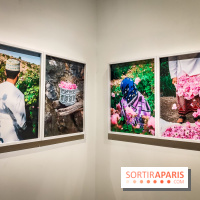 Parfums d'Orient, l'exposition qui enchante nos sens à l'Institut du Monde Arabe - photos