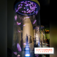 Parfums d'Orient, l'exposition qui enchante nos sens à l'Institut du Monde Arabe - photos