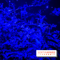 Parfums d'Orient, l'exposition qui enchante nos sens à l'Institut du Monde Arabe - photos