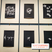 Parfums d'Orient, l'exposition qui enchante nos sens à l'Institut du Monde Arabe - photos