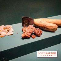 Parfums d'Orient, l'exposition qui enchante nos sens à l'Institut du Monde Arabe - photos