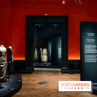 Azzedine Alaïa, couturier collectionneur : l'exposition mode inédite au Palais Galliera - image00127