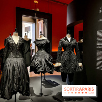 Azzedine Alaïa, couturier collectionneur : l'exposition mode inédite au Palais Galliera - image00165