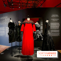 Azzedine Alaïa, couturier collectionneur : l'exposition mode inédite au Palais Galliera - image00175