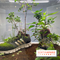 Exposition Le temps qu'il nous faut - IMG 0476