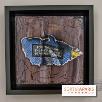 Exposition Les Cages de l'Imaginaire Sandra Chevrier galerie Goldshteyn-Saatort