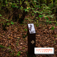 Le sentier des Maréchaux à Senlisse - Vallée de Chevreuse -  A7C2490