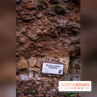 Le sentier des Maréchaux à Senlisse - Vallée de Chevreuse -  meulière