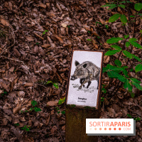 Le sentier des Maréchaux à Senlisse - Vallée de Chevreuse -  A7C2510