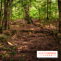 Le sentier des Maréchaux à Senlisse - Vallée de Chevreuse -  ancien abreuvoir