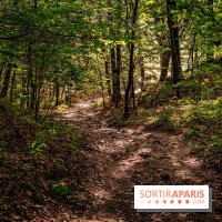 Le sentier des Maréchaux à Senlisse - Vallée de Chevreuse -  A7C2531