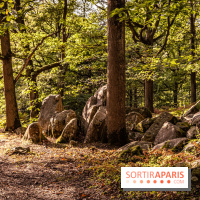 Le sentier des Maréchaux à Senlisse - Vallée de Chevreuse - bloc