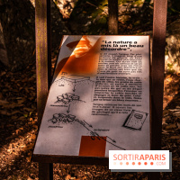 Le sentier des Maréchaux à Senlisse - Vallée de Chevreuse -  A7C2536