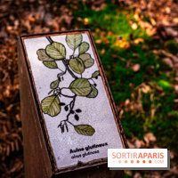 Le sentier des Maréchaux à Senlisse - Vallée de Chevreuse -  panneau faune flore