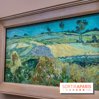 Exposition Van Gogh au Musée d’Orsay - Auvers-sur-Oise, les derniers mois -  A7C3111