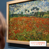 Exposition Van Gogh au Musée d’Orsay - Auvers-sur-Oise, les derniers mois -  A7C3110