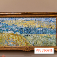 Exposition Van Gogh au Musée d’Orsay - Auvers-sur-Oise, les derniers mois -  A7C3113