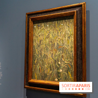 Exposition Van Gogh au Musée d’Orsay - Auvers-sur-Oise, les derniers mois -  A7C3081