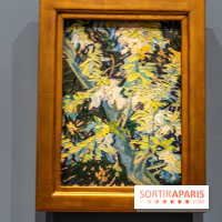 Exposition Van Gogh au Musée d’Orsay - Auvers-sur-Oise, les derniers mois -  A7C3080