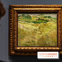 Exposition Van Gogh au Musée d’Orsay - Auvers-sur-Oise, les derniers mois -  A7C3075