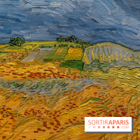 Exposition Van Gogh au Musée d’Orsay - Auvers-sur-Oise, les derniers mois -  A7C3103