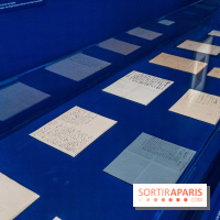 Exposition Van Gogh au Musée d’Orsay - Auvers-sur-Oise, les derniers mois -  A7C3130