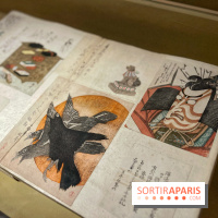 Retour d'Asie au Musée Cernuschi - IMG 5588