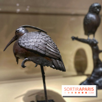 Retour d'Asie au Musée Cernuschi