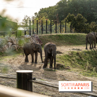 Les lodges de Thoiry - dormir à Thoiry en Terres d'Afrique - Photos -  A7C3281