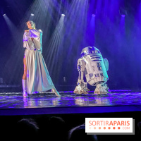 Star Wars The Empire Strips Back