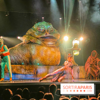 Star Wars The Empire Strips Back