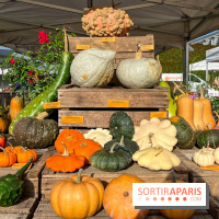 Automne au Potager du Roi - Citrouilles - Halloween