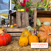 Automne au Potager du Roi - Citrouilles - Halloween