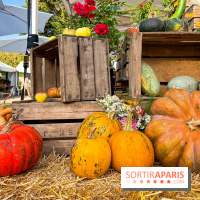 Automne au Potager du Roi - Citrouilles - Halloween